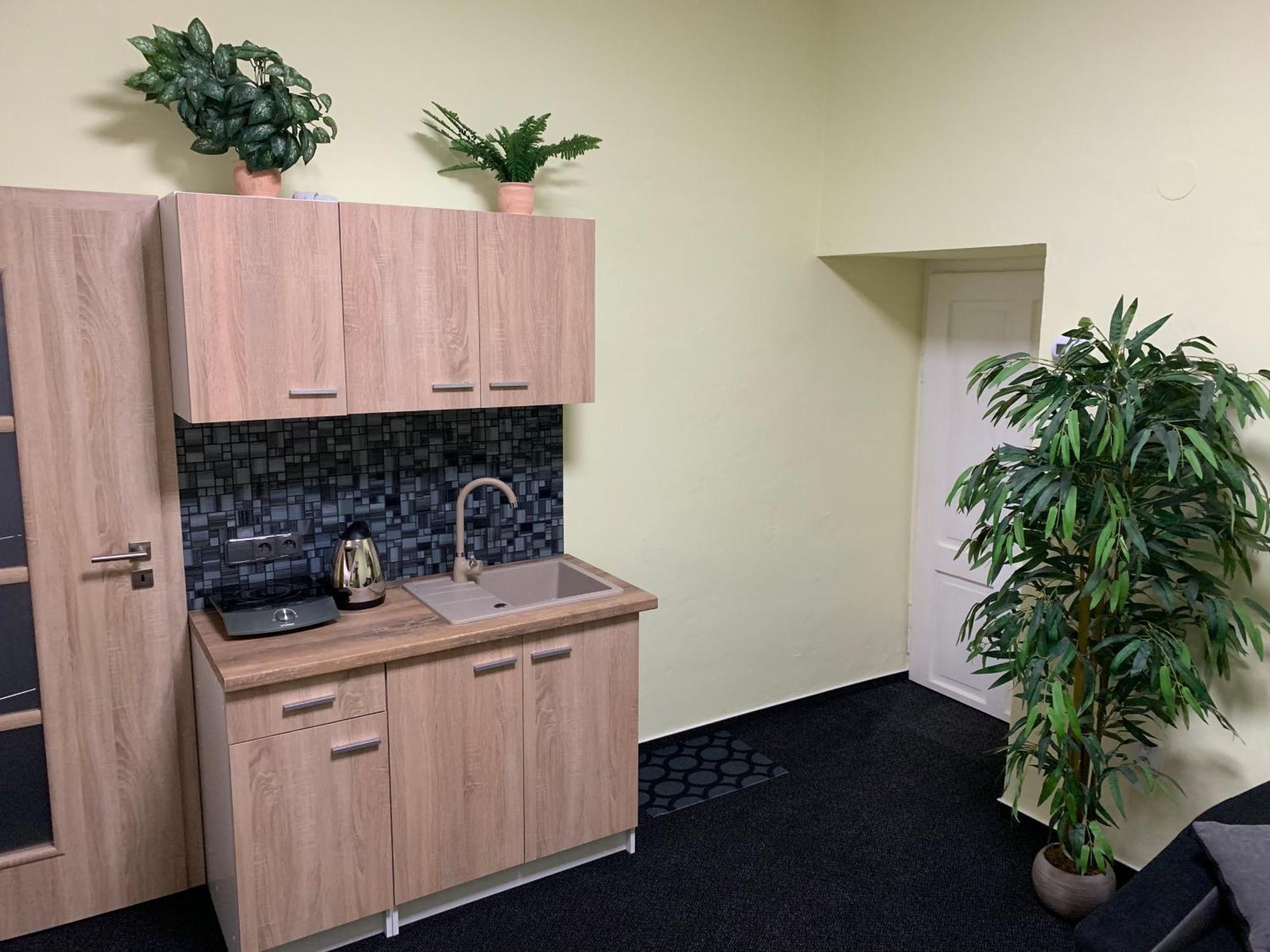 Apartman Alesta Bruntál מראה חיצוני תמונה